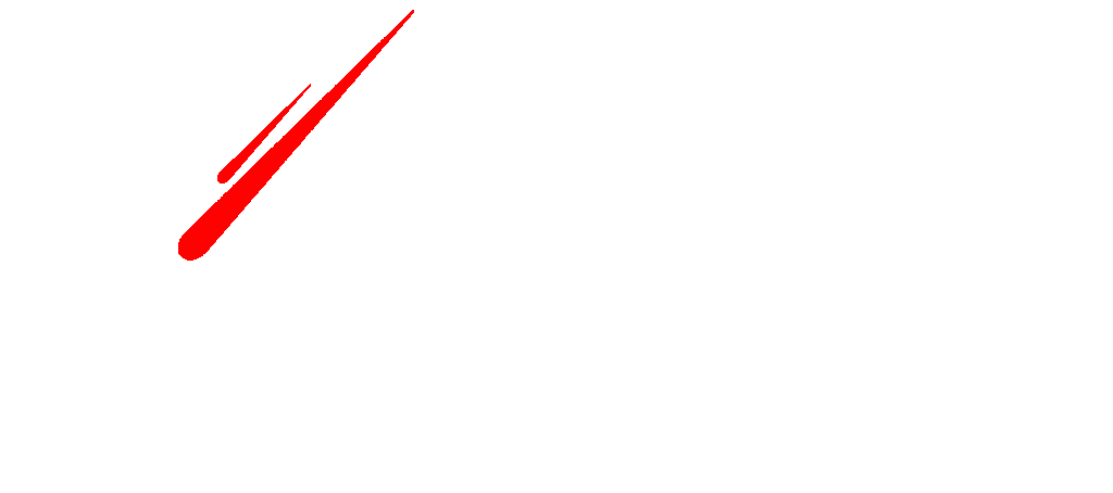 ADARA Institute, LLC
